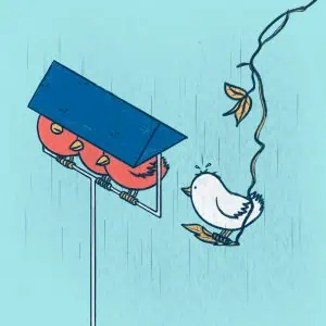 Burung yang berbeda secara "warna" dengan burung-burung lain, diabaratkan sebagai perbedaan rasial