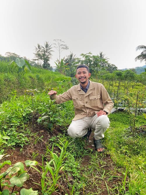 Rumput yang Berpilin di Hati